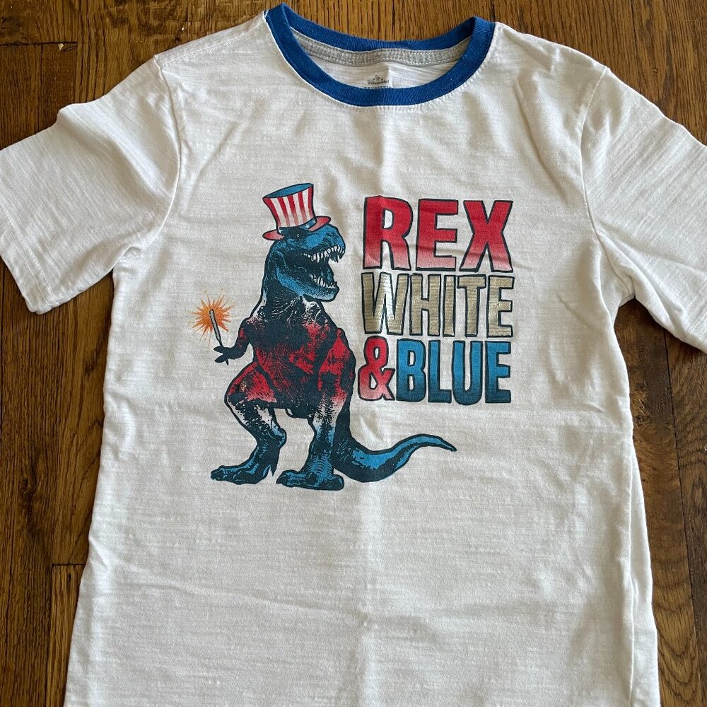 Patriotic Kids Dinosaur T-Shirt